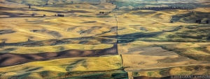 100 WA0908020520PU_pano2