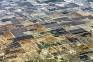 Drought Dessicated Texas Farmland