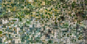 116 USA_CO_BACA_COUNTY