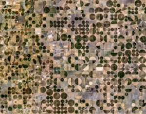 117 USA_TX_DUMAS
