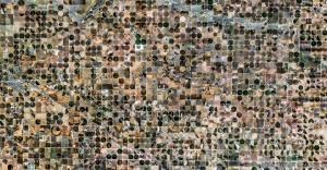 118 AG_US_TX_PANHANDLE_FARWELL_03_DETAIL