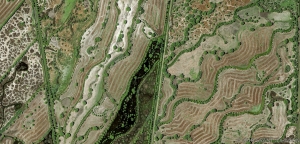 128 Wetland Sutter Buttes North_3