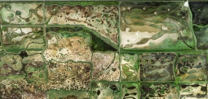 130 Central Valley North Williams 12