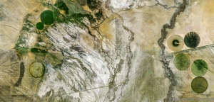 131 US_NV_RUBY VALLEY 1