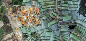 143 Egypt aquaculture 1