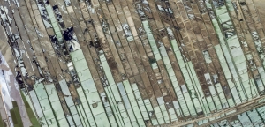 148 Egypt aquaculture 5