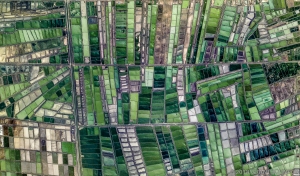 151 EGYPT_PORT_SAID_01EditEdit