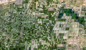 155 EGYPT_ALEXANDRIA_001