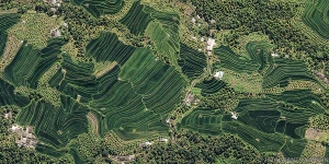 158 Bali Terraced rice fields x01
