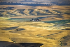 102 WA0908020504SB