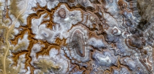 111 US_UT_FACTORY BUTTE 4