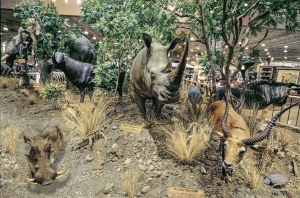 PEACABLE KINGDOM OF THE ANTHROPOCENE #2 (AFTER EDWARD HICKS)