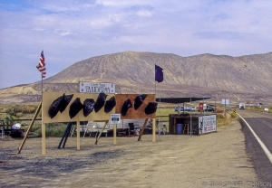 113 NV0008310232GL