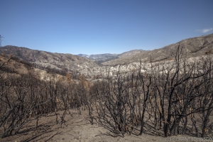 135 CA20100328LA63