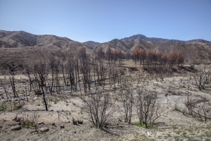 136 CA20100328LA53
