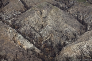 137 CA20100328LA109