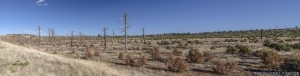 142 AZ20110622SL17_pano