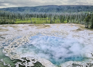 Artemisia Geyser