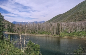 MT0908040713GNP-101