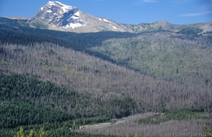 MT0908050909GNP-100