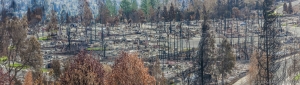 FOUNTAIN GROVE PARKWAY #0133, SONOMA COUNTY FIRESTORM