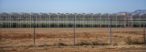 140 AZ20110624WC23