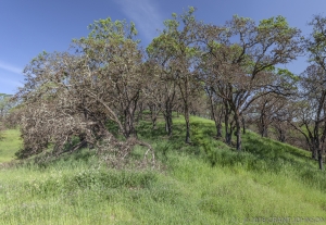 159 2018_04_03_0047_pano2