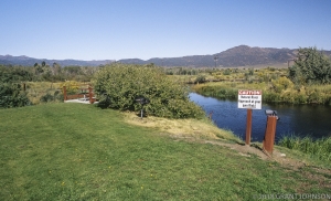 174 CA0809010306BP
