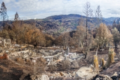 FOUNTAIN GROVE PARKWAY #0170, SONOMA COUNTY FIRESTORM