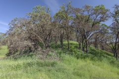 159 2018_04_03_0047_pano2