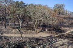 170 2017_11_01_0142_pano223