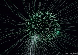 Lightscape, Lightwaves, light painting, ©GRANT JOHNSON
