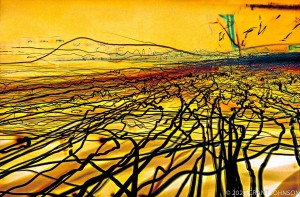 Lightscape, Lightwaves, light painting, ©GRANT JOHNSON