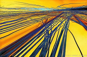 Lightscape, Lightwaves, light painting, ©GRANT JOHNSON