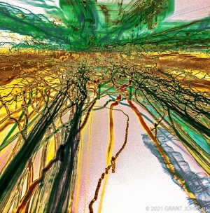 Lightscape, Lightwaves, light painting, ©GRANT JOHNSON