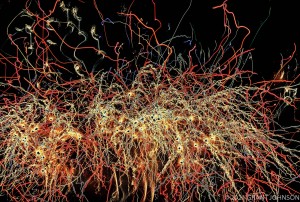 Lightscape, Lightwaves, light painting, ©GRANT JOHNSON