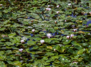 107 2018_08_07_0035_pano