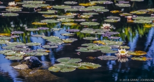 123 CA0005210329GGP2_edit