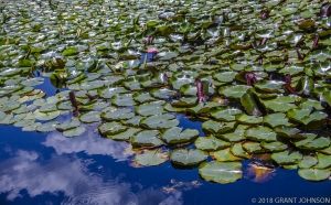 127 CA20110609RG24_editEdit.2