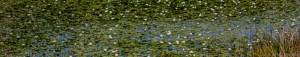 128 CA20110618BS22_pano