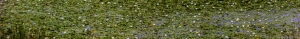 129 CA20110618BS28_pano