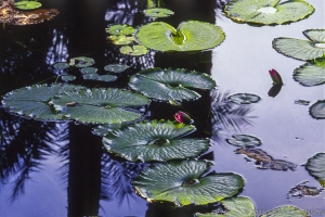 130 CA0302150630DVLoRez