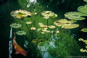 132 CA0302150633DVcoy16Ms