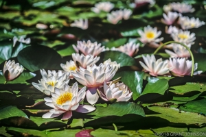 140 CA9607090716SQ
