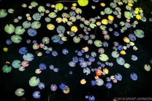 146 CA8007000125SD_edit