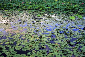 151 DC9908271002WGMsSs