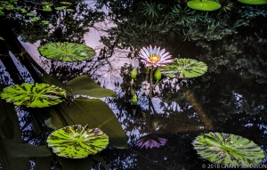 153 DC9908270820WG_edit