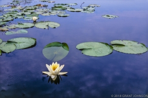 155 GA9605211027OK_edit