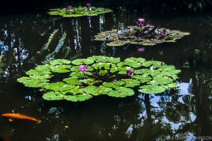 159 HI0906260205HI_edit