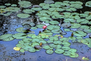 160 DC9908270927WG_edit